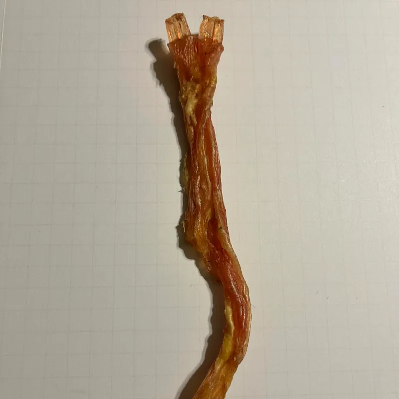 Beef Tendon