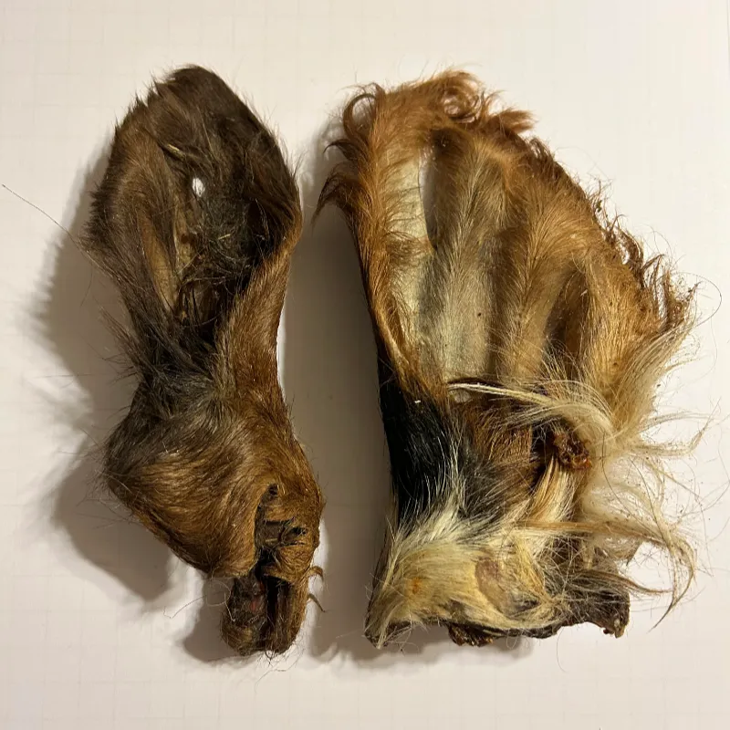 Cow Ears w/ Hair