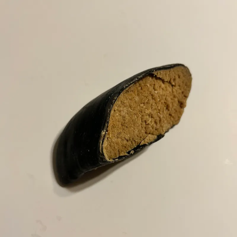 Cow Hoof – Stuffed