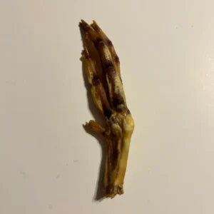 Duck Feet
