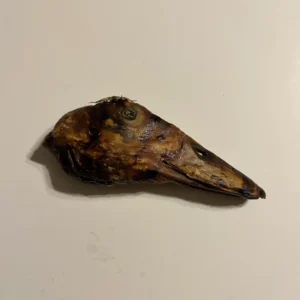 Duck Head