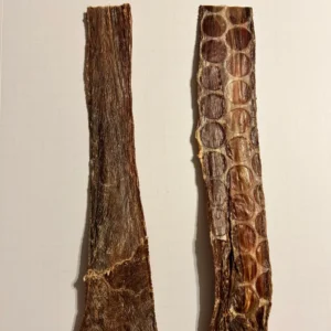 Esophagus Jerky