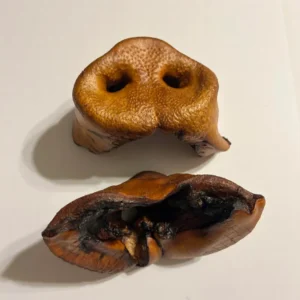 Pork Snout