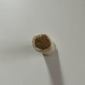Peanut Butter Filled Shin Bone