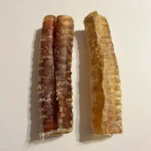 Trachea Tube