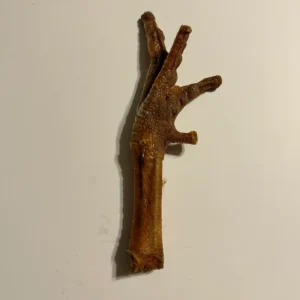 Turkey Feet