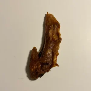 Turkey Wing
